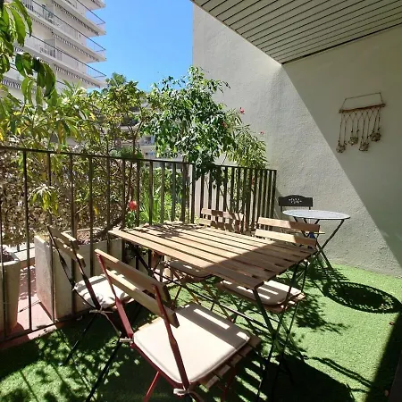 Sunrise & Sunset Palm Croisette *