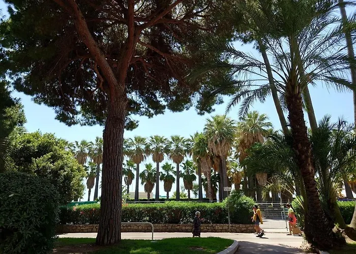 Daire Sunrise & Sunset Palm Croisette